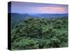 View over Trees Towards Badlands at Sunset, Vashlovani National Park, Georgia, May 2008-Popp-Stretched Canvas