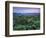 View over Trees Towards Badlands at Sunset, Vashlovani National Park, Georgia, May 2008-Popp-Framed Photographic Print