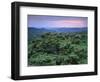 View over Trees Towards Badlands at Sunset, Vashlovani National Park, Georgia, May 2008-Popp-Framed Photographic Print