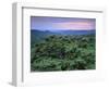 View over Trees Towards Badlands at Sunset, Vashlovani National Park, Georgia, May 2008-Popp-Framed Photographic Print