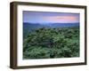 View over Trees Towards Badlands at Sunset, Vashlovani National Park, Georgia, May 2008-Popp-Framed Photographic Print