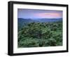 View over Trees Towards Badlands at Sunset, Vashlovani National Park, Georgia, May 2008-Popp-Framed Photographic Print