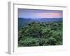 View over Trees Towards Badlands at Sunset, Vashlovani National Park, Georgia, May 2008-Popp-Framed Photographic Print