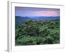 View over Trees Towards Badlands at Sunset, Vashlovani National Park, Georgia, May 2008-Popp-Framed Photographic Print