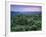 View over Trees Towards Badlands at Sunset, Vashlovani National Park, Georgia, May 2008-Popp-Framed Photographic Print