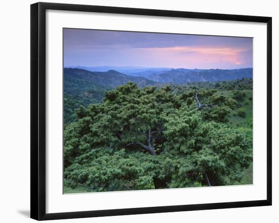 View over Trees Towards Badlands at Sunset, Vashlovani National Park, Georgia, May 2008-Popp-Framed Photographic Print