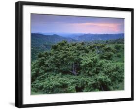 View over Trees Towards Badlands at Sunset, Vashlovani National Park, Georgia, May 2008-Popp-Framed Photographic Print