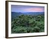 View over Trees Towards Badlands at Sunset, Vashlovani National Park, Georgia, May 2008-Popp-Framed Photographic Print