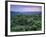 View over Trees Towards Badlands at Sunset, Vashlovani National Park, Georgia, May 2008-Popp-Framed Photographic Print