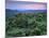 View over Trees Towards Badlands at Sunset, Vashlovani National Park, Georgia, May 2008-Popp-Mounted Photographic Print