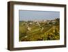 View over Treiso Village and Vineyards, Langhe, Cuneo District, Piedmont, Italy, Europe-Yadid Levy-Framed Photographic Print