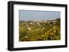 View over Treiso Village and Vineyards, Langhe, Cuneo District, Piedmont, Italy, Europe-Yadid Levy-Framed Photographic Print