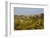 View over Treiso Village and Vineyards, Langhe, Cuneo District, Piedmont, Italy, Europe-Yadid Levy-Framed Photographic Print