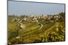 View over Treiso Village and Vineyards, Langhe, Cuneo District, Piedmont, Italy, Europe-Yadid Levy-Mounted Photographic Print