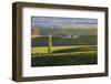 View over typical vineyards in the Wairau Valley, early morning, Renwick, near Blenheim, Marlboroug-Ruth Tomlinson-Framed Photographic Print