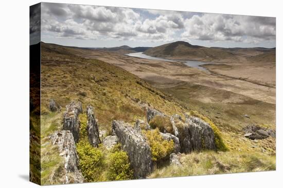View over Upland Moorland Landscape, Cambrian Mountains, Ceredigion, Wales, May-Peter Cairns-Stretched Canvas