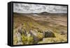 View over Upland Moorland Landscape, Cambrian Mountains, Ceredigion, Wales, May-Peter Cairns-Framed Stretched Canvas