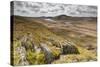 View over Upland Moorland Landscape, Cambrian Mountains, Ceredigion, Wales, May-Peter Cairns-Stretched Canvas