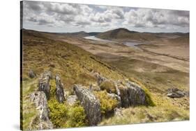 View over Upland Moorland Landscape, Cambrian Mountains, Ceredigion, Wales, May-Peter Cairns-Stretched Canvas