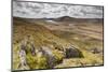 View over Upland Moorland Landscape, Cambrian Mountains, Ceredigion, Wales, May-Peter Cairns-Mounted Photographic Print