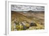 View over Upland Moorland Landscape, Cambrian Mountains, Ceredigion, Wales, May-Peter Cairns-Framed Photographic Print