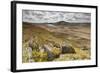 View over Upland Moorland Landscape, Cambrian Mountains, Ceredigion, Wales, May-Peter Cairns-Framed Photographic Print