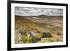 View over Upland Moorland Landscape, Cambrian Mountains, Ceredigion, Wales, May-Peter Cairns-Framed Photographic Print