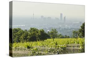 View over Vienna of the Cobenzl, Vineyard Cobenzl, Vienna, Austria-Rainer Mirau-Stretched Canvas