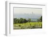 View over Vienna of the Cobenzl, Vineyard Cobenzl, Vienna, Austria-Rainer Mirau-Framed Photographic Print
