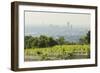 View over Vienna of the Cobenzl, Vineyard Cobenzl, Vienna, Austria-Rainer Mirau-Framed Photographic Print