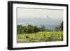 View over Vienna of the Cobenzl, Vineyard Cobenzl, Vienna, Austria-Rainer Mirau-Framed Photographic Print