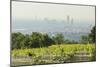 View over Vienna of the Cobenzl, Vineyard Cobenzl, Vienna, Austria-Rainer Mirau-Mounted Photographic Print