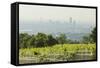 View over Vienna of the Cobenzl, Vineyard Cobenzl, Vienna, Austria-Rainer Mirau-Framed Stretched Canvas