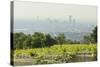 View over Vienna of the Cobenzl, Vineyard Cobenzl, Vienna, Austria-Rainer Mirau-Stretched Canvas