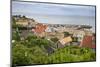 View over Village and Harbour, Arild, Kulla Peninsula, Skane, South Sweden, Sweden, Scandinavia-Stuart Black-Mounted Photographic Print