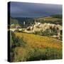 View over Village and Minervois Vineyards, Minerve, Languedoc-Roussillon, France, Europe-Stuart Black-Stretched Canvas