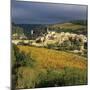 View over Village and Minervois Vineyards, Minerve, Languedoc-Roussillon, France, Europe-Stuart Black-Mounted Photographic Print