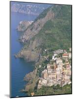 View Over Village of Riomaggiore, Cinque Terre, Unesco World Heritage Site, Liguria, Italy-Bruno Morandi-Mounted Photographic Print