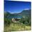 View over Village to Lake, Duingt, Lake Annecy, Rhone Alpes, France, Europe-Stuart Black-Mounted Photographic Print