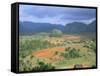 View Over Vinales Valley Towards Tobacco Plantations and Mogotes, Vinales, Cuba-Lee Frost-Framed Stretched Canvas