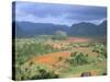 View Over Vinales Valley Towards Tobacco Plantations and Mogotes, Vinales, Cuba-Lee Frost-Stretched Canvas