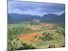 View Over Vinales Valley Towards Tobacco Plantations and Mogotes, Vinales, Cuba-Lee Frost-Mounted Photographic Print