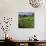 View over vineyards, Saint Emilion, Nouvelle Aquitaine, France, Europe-Stuart Black-Photographic Print displayed on a wall