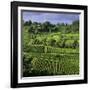 View over vineyards, Saint Emilion, Nouvelle Aquitaine, France, Europe-Stuart Black-Framed Photographic Print