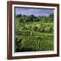 View over vineyards, Saint Emilion, Nouvelle Aquitaine, France, Europe-Stuart Black-Framed Photographic Print