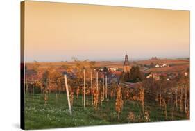 View over Vineyards to the Wine Village Burrweiler in Autumn at Sunset-Marcus Lange-Stretched Canvas