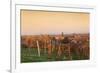 View over Vineyards to the Wine Village Burrweiler in Autumn at Sunset-Marcus Lange-Framed Photographic Print