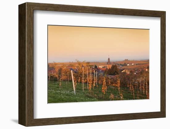 View over Vineyards to the Wine Village Burrweiler in Autumn at Sunset-Marcus Lange-Framed Photographic Print