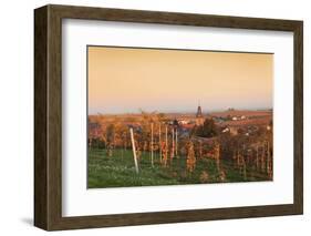 View over Vineyards to the Wine Village Burrweiler in Autumn at Sunset-Marcus Lange-Framed Photographic Print