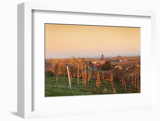 View over Vineyards to the Wine Village Burrweiler in Autumn at Sunset-Marcus Lange-Framed Photographic Print